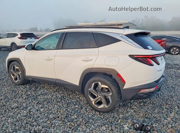 5NMJF3DE0RH369075 2024 HYUNDAI TUCSON Белый 
