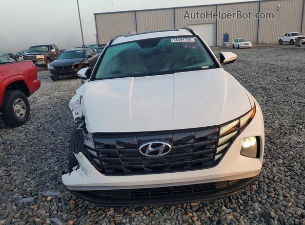 5NMJF3DE0RH369075 2024 HYUNDAI TUCSON Белый 