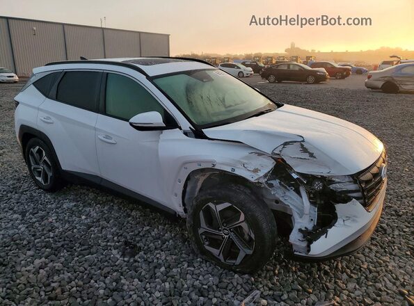 5NMJF3DE0RH369075 2024 HYUNDAI TUCSON Белый 