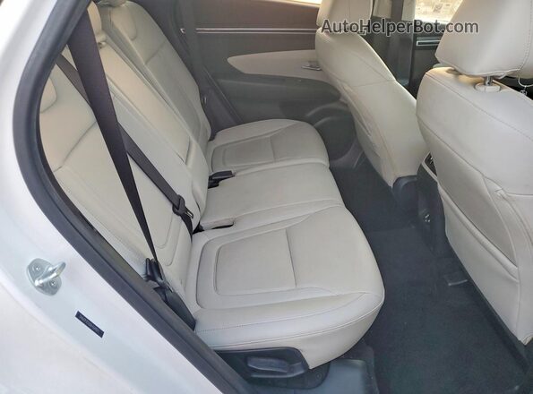 5NMJF3DE0RH369075 2024 HYUNDAI TUCSON Белый 