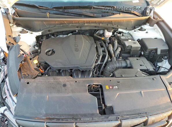 5NMJF3DE0RH369075 2024 HYUNDAI TUCSON Белый 