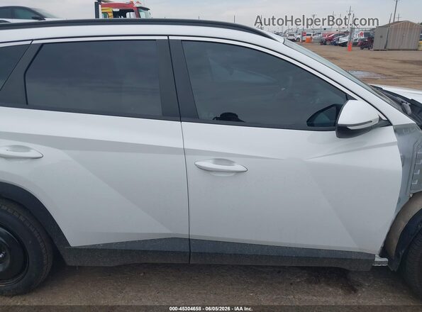 5NMJF3DE2RH318256 2024 HYUNDAI TUCSON Белый Панорамный вид салона 360°