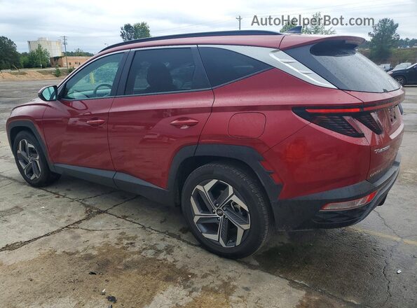 5NMJF3DE4RH429634 2024 HYUNDAI TUCSON Burgundy Հետևի ձախ