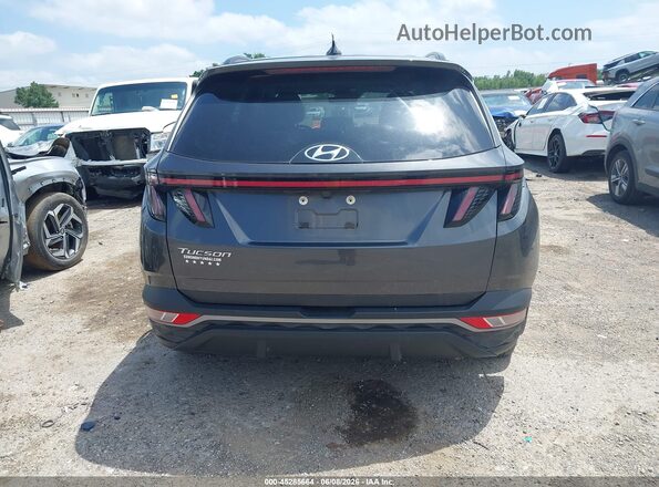5NMJF3DE6RH330829 2024 HYUNDAI TUCSON Серый 