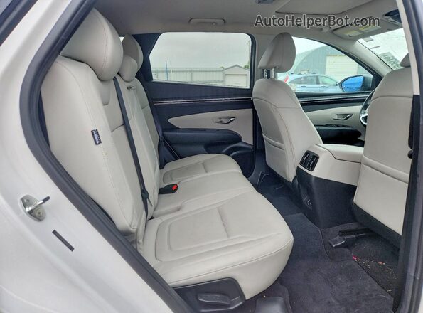5NMJF3DEXRH432005 2024 HYUNDAI TUCSON White უკანა სავარძლების ხედი