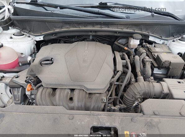5NMJFCAE4NH054889 2022 HYUNDAI TUCSON White Widok z tyłu