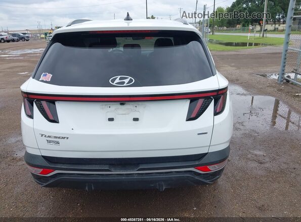 5NMJFCAE4PH259454 2023 HYUNDAI TUCSON White 
