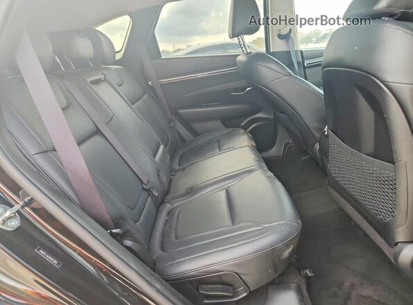 5NMJFCAE5PH223109 2023 HYUNDAI TUCSON Black Սալոնի հետևի տեսք