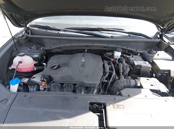 5NMJFCDE3RH353355 2024 HYUNDAI TUCSON Black Widok z tyłu