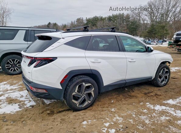 5NMJFCDE8RH332372 2024 HYUNDAI TUCSON White Задня права чверть