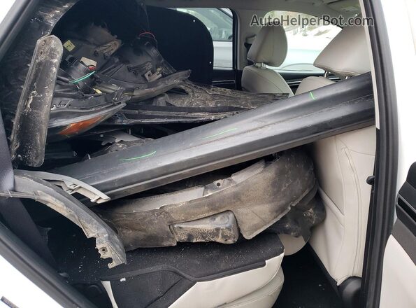 5NMJFCDE8RH332372 2024 HYUNDAI TUCSON White Вид задніх сидінь