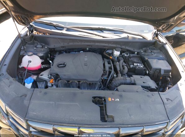 5NMJFCDE8RH433010 2024 HYUNDAI TUCSON Black Rear view