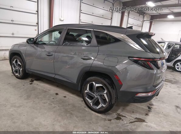 5NMJFCDEXRH332969 2024 HYUNDAI TUCSON Gray Задня ліва чверть