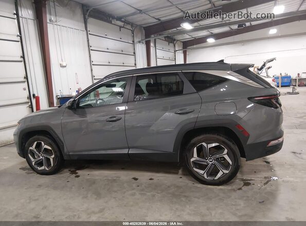 5NMJFCDEXRH332969 2024 HYUNDAI TUCSON Gray Панорамний вид салону 360°