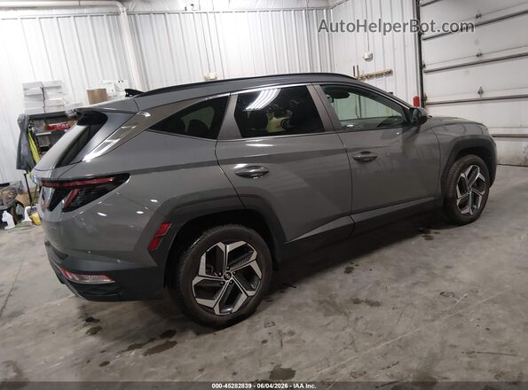 5NMJFCDEXRH332969 2024 HYUNDAI TUCSON Gray Задня права чверть