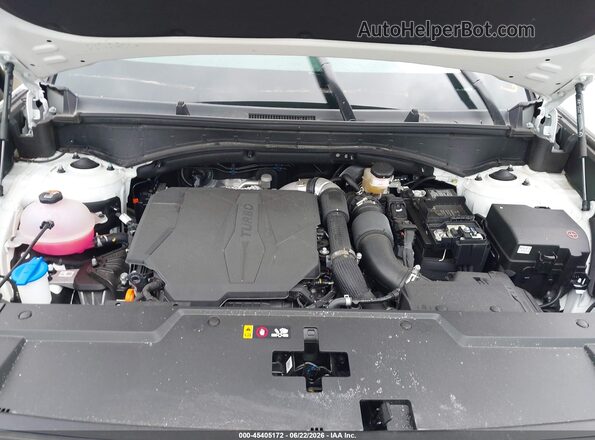 5NMP1DGL8SH109859 2025 HYUNDAI SANTA FE White Вид ззаду