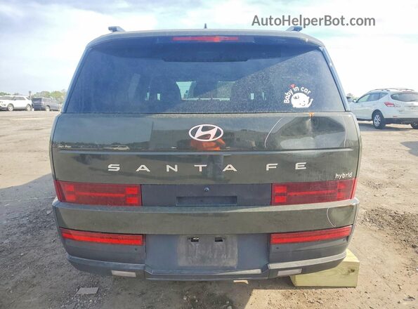 5NMP24G12SH024513 2025 HYUNDAI SANTA Green 