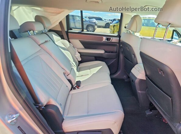 5NMP24GL0SH098630 2025 HYUNDAI SANTA Silver 