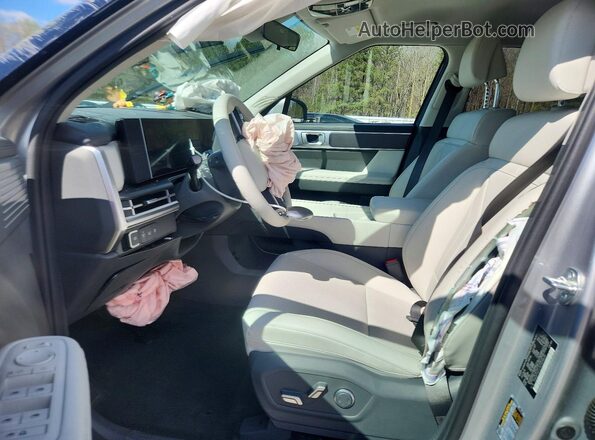 5NMP24GL0SH098630 2025 HYUNDAI SANTA Silver 