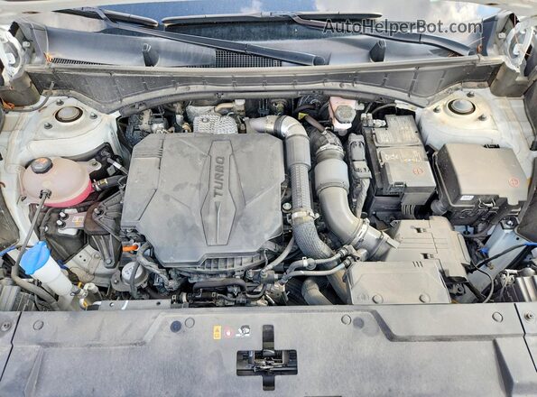 5NMP24GL1RH062357 2024 HYUNDAI SANTA White Widok wnętrza z tyłu