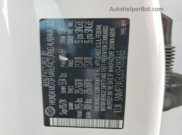 5NMP24GL6SH080665 2025 HYUNDAI SANTA White 