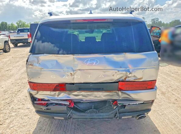 5NMP24GLXSH089613 2025 HYUNDAI SANTA Silver Rear view