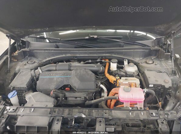 5NMP2DG13SH021720 2025 HYUNDAI SANTA FE HYBRID Green Widok z tyłu