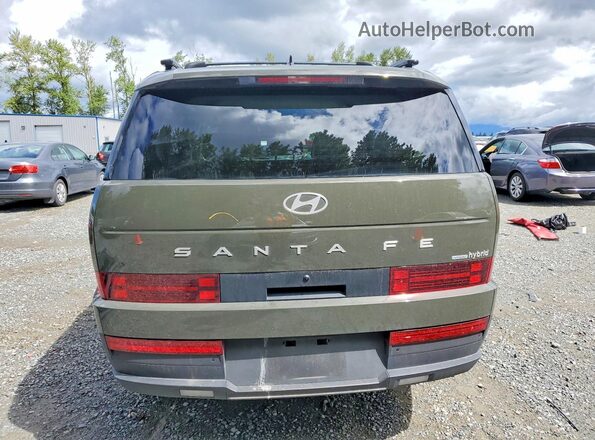 5NMP2DG18SH050632 2025 HYUNDAI SANTA Green 