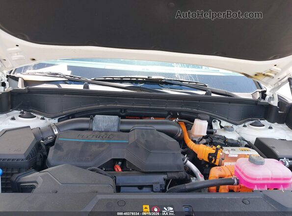 5NMP2DG1XRH002012 2024 HYUNDAI SANTA FE HYBRID Белый Вид сзади