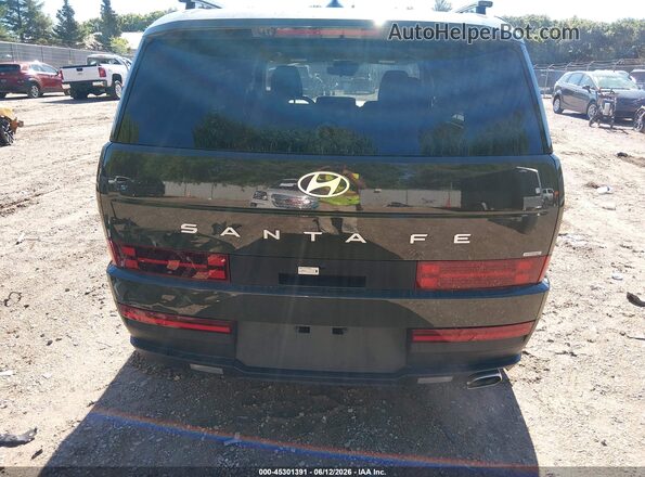 5NMP2DGL2RH028220 2024 HYUNDAI SANTA FE Green 