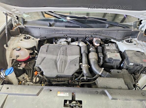 5NMP2DGL4SH130088 2025 HYUNDAI SANTA White Widok komory silnika