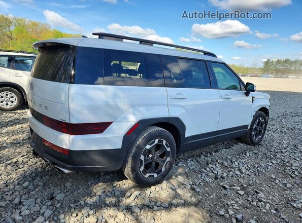 5NMP2DGL5SH108665 2025 HYUNDAI SANTA White უკანა მარჯვენა