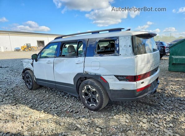 5NMP2DGL5SH108665 2025 HYUNDAI SANTA White უკანა მარცხენა