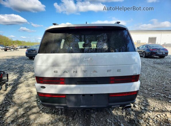 5NMP2DGL5SH108665 2025 HYUNDAI SANTA White უკანა ხედი