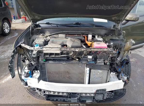 5NMP3DG13RH005525 2024 HYUNDAI SANTA FE HYBRID Green Հետևի տեսք