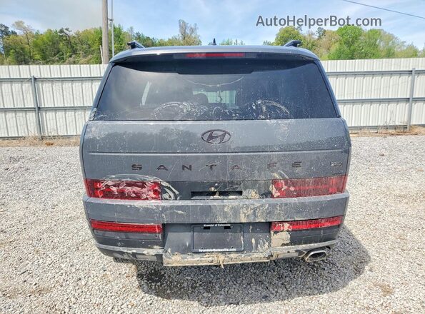 5NMP3DGL0SH145507 2025 HYUNDAI SANTA Charcoal Հետևի տեսք