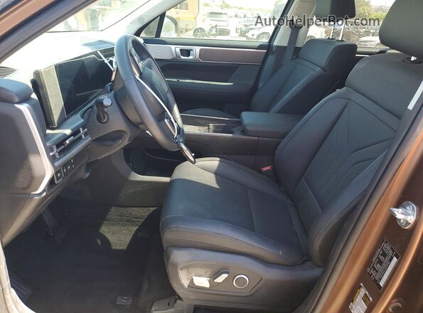 5NMP3DGL0SH149184 2025 HYUNDAI SANTA Brown 