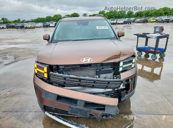 5NMP44GL9RH017435 2024 HYUNDAI SANTA Brown წინა ხედი
