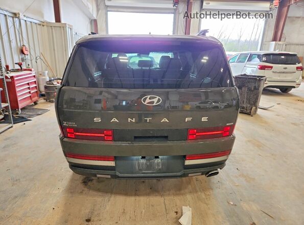 5NMP4DGLXRH013572 2024 HYUNDAI SANTA Green 