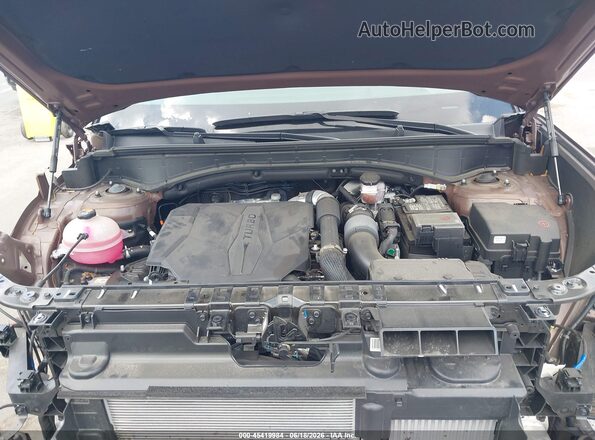 5NMP54GL5RH049618 2024 HYUNDAI SANTA FE Brown უკანა ხედი