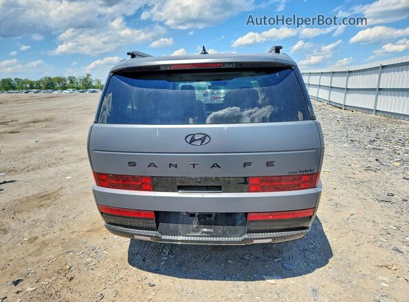 5NMP5DG10SH054701 2025 HYUNDAI SANTA Gray Widok z tyłu