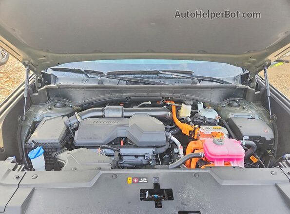 5NMP5DG11TH089250 2026 HYUNDAI SANTA Зеленый Вид задней части салона