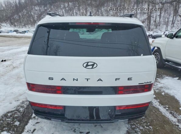 5NMP5DG15SH023153 2025 HYUNDAI SANTA Белый Вид сзади