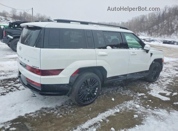 5NMP5DG15SH023153 2025 HYUNDAI SANTA Белый Задняя правая четверть
