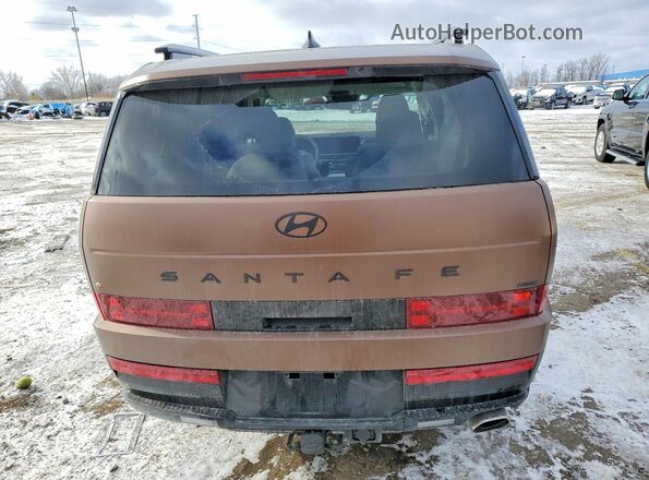 5NMP5DGL1RH062351 2024 HYUNDAI SANTA Brown 