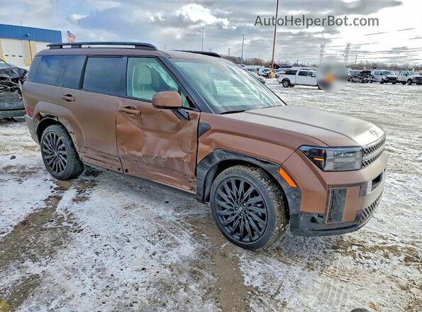 5NMP5DGL1RH062351 2024 HYUNDAI SANTA Brown 