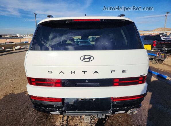 5NMP5DGL2RH064769 2024 HYUNDAI SANTA White უკანა ხედი