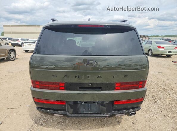 5NMP5DGL3RH038326 2024 HYUNDAI SANTA Gray Widok z tyłu