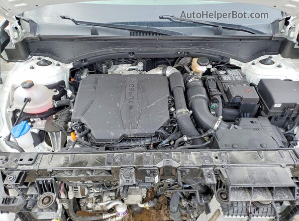 5NMP5DGL4SH093860 2025 HYUNDAI SANTA White Սալոնի հետևի տեսք