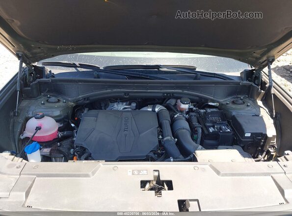 5NMP5DGLXRH044348 2024 HYUNDAI SANTA FE Green Вид ззаду